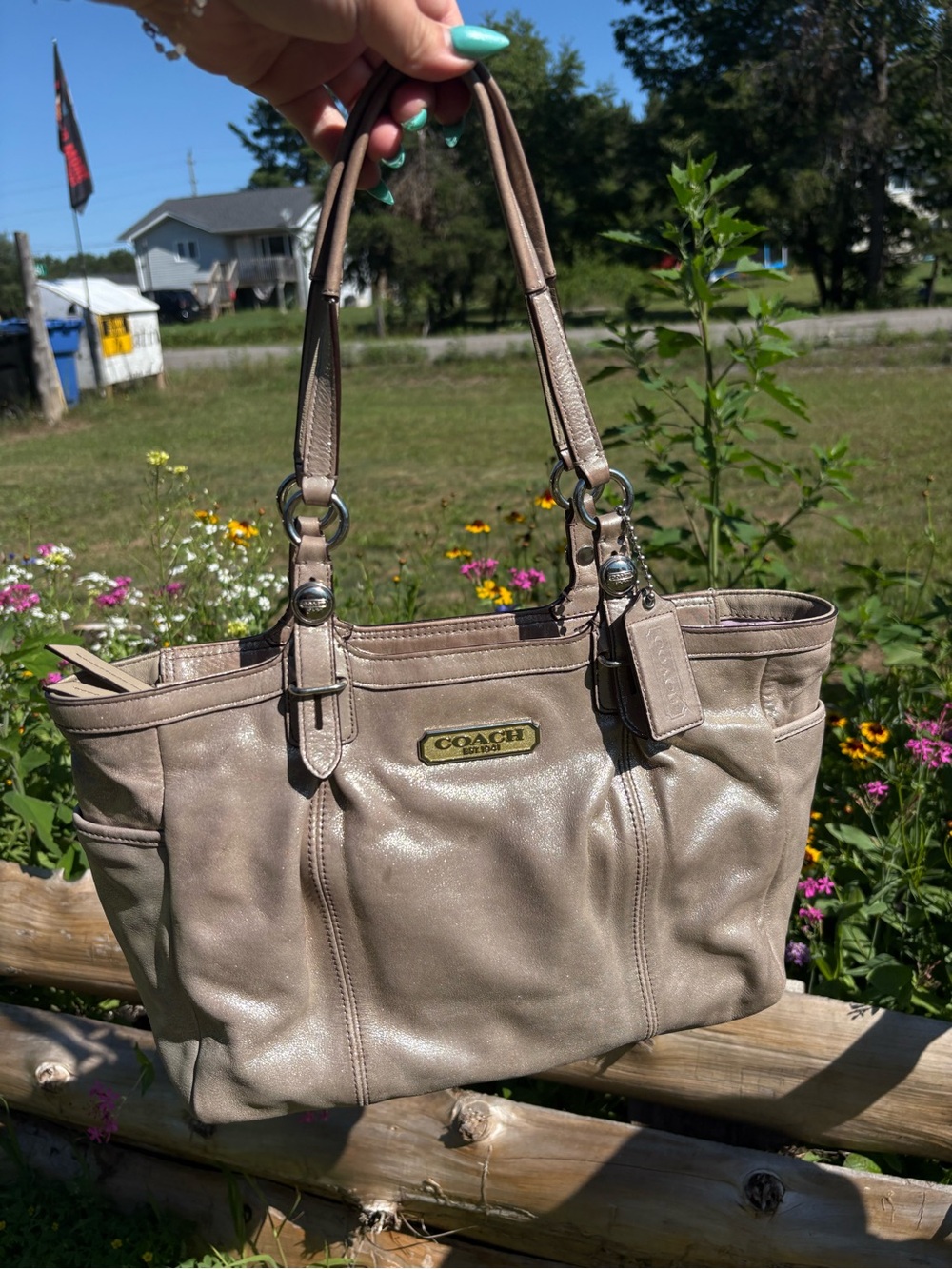 2011 Coach Metallic Gallery Tote⭐️